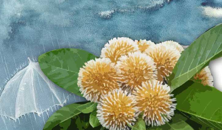 হুমায়ূন আহমেদ এবং শ্রাবণ দিনের কৌতুক