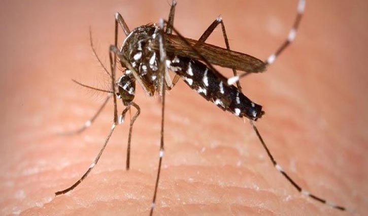 Massive efforts, awareness needed to prevent Chikungunya