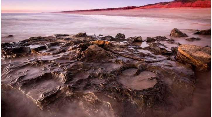 Fossils are Australia's 'Jurassic Park'