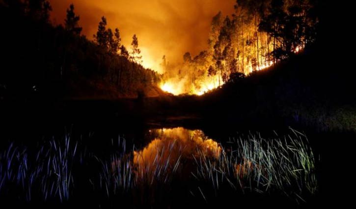 Portugal forest fire: Death toll climbs to 57