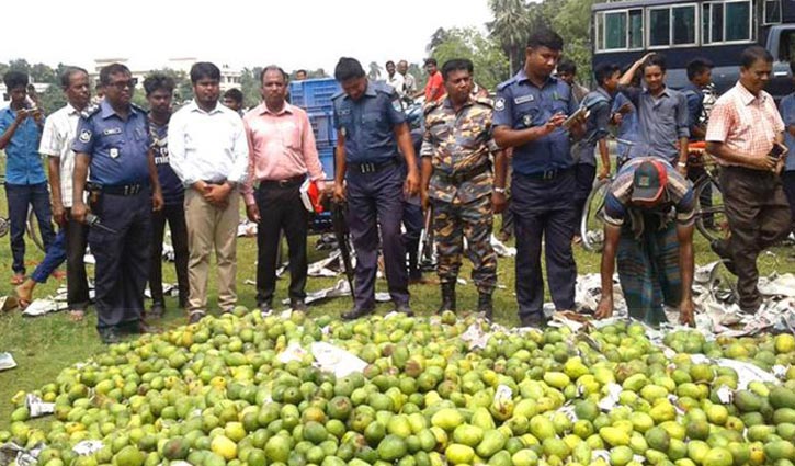 60 maunds of formalin treated mango destroyed in Kushtia