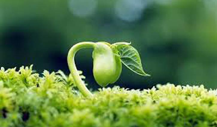 World Environment Day being observed