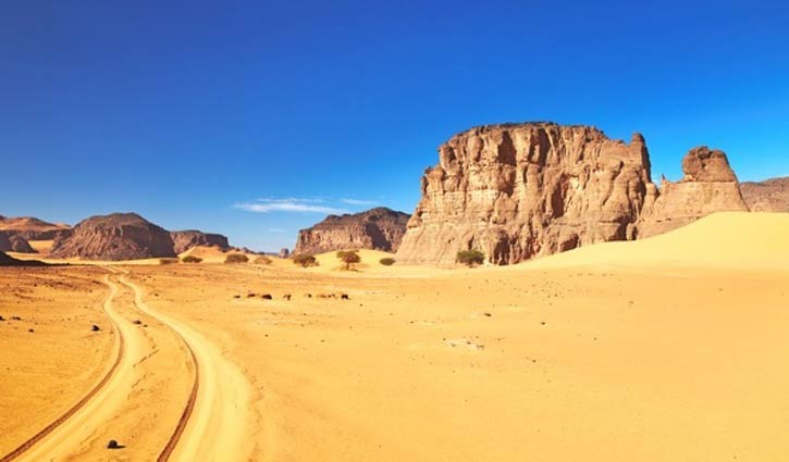 44 people die of thirst in Sahara Desert