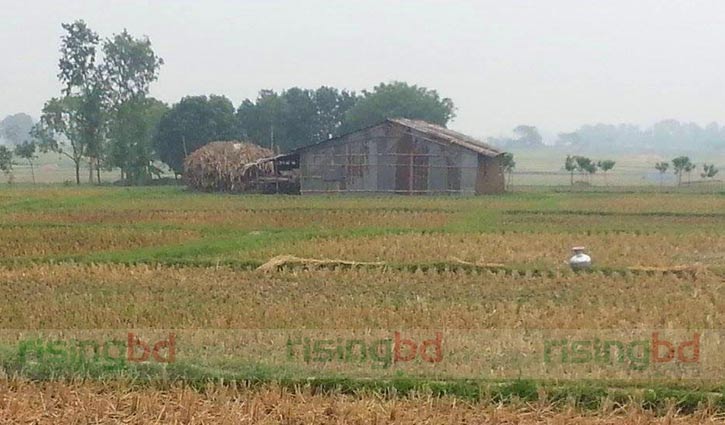 Fresh operation begins at Benipur militant den