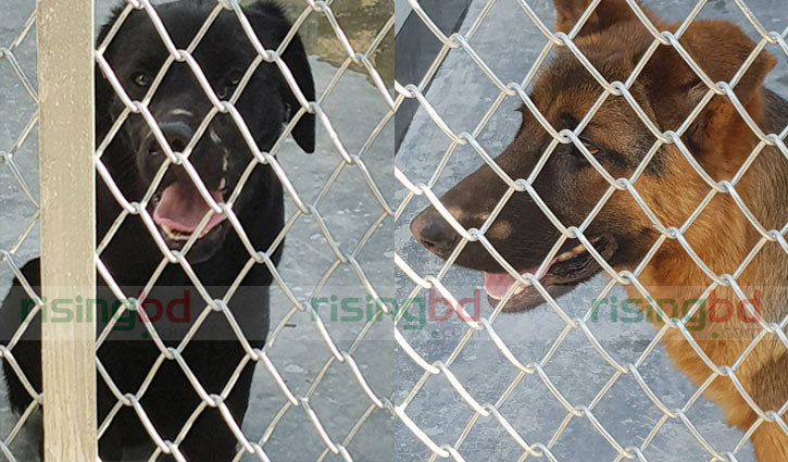 APBn gets Dog Squad unit 