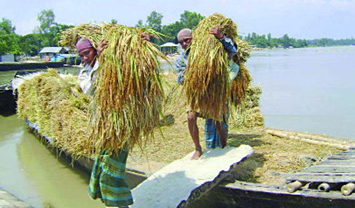 এল হেমন্তের দিন