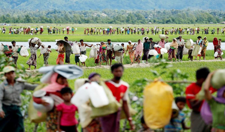 Returning Rohingya may lose land, crops under Myanmar plans