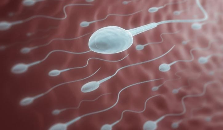 স্পার্ম কাউন্ট বাড়ানোর ৬ উপায়