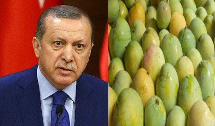 100 kg mangoes sent to Turkish president as gift