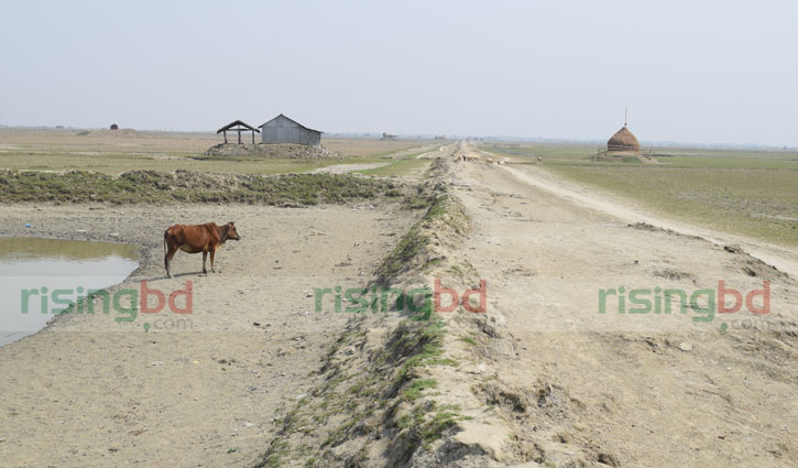 অস্ত্রে উত্থান, অস্ত্রেই পতন, কেউ আত্মসমর্পণ করে পাগল
