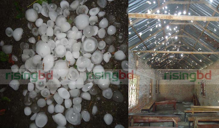 Hailstorm damages huge crops, houses in Nilphamari