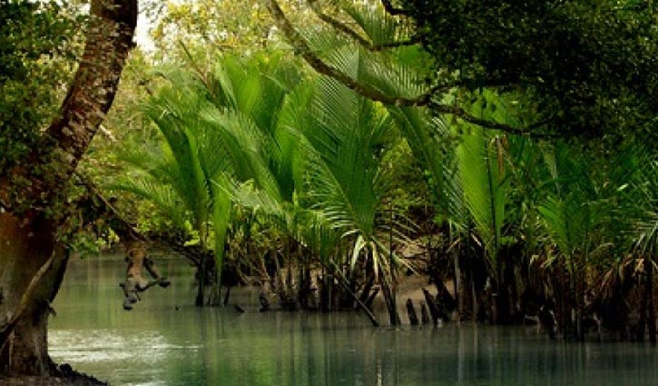 24 industries threat to Sundarbans