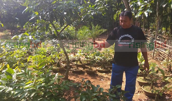 পুলকের বনসাই আঙিনা