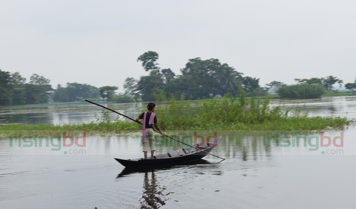 ছোট্ট হাতে নৌকার বৈঠা 