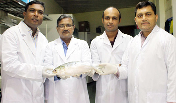 Bangladesh decodes hilsa genome