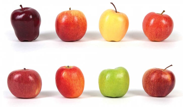 কেন প্রতিদিন একটি আপেল খাবেন