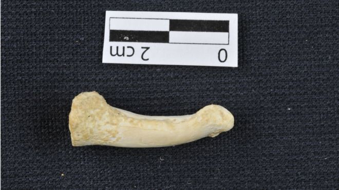 New human species found in Philippines
