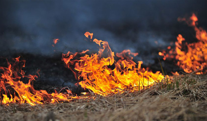 Bush fire kills 33 in South Sudan