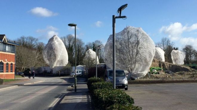  Call to protect birds from netting