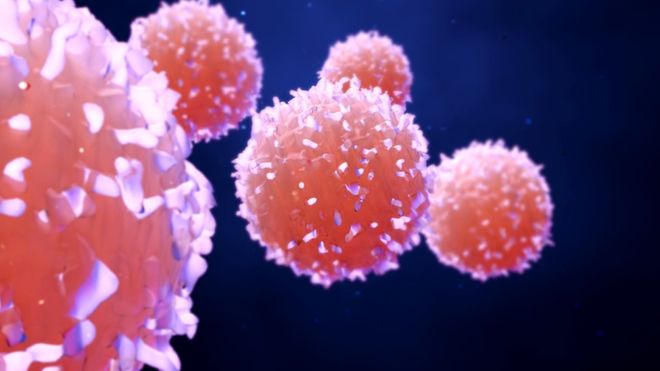 Dismantling cancer reveals weak spots