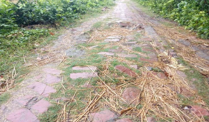 Mahmudkati-Raruli road in bad shape