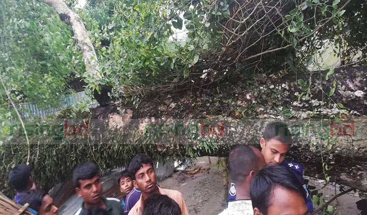 Cyclone Fani: 7 killed in 4 districts