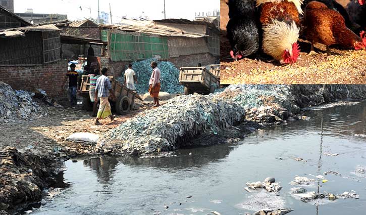 Shut factories that make poultry feed using tannery waste: HC