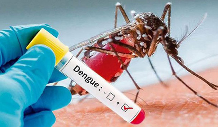 Child dies of dengue in capital