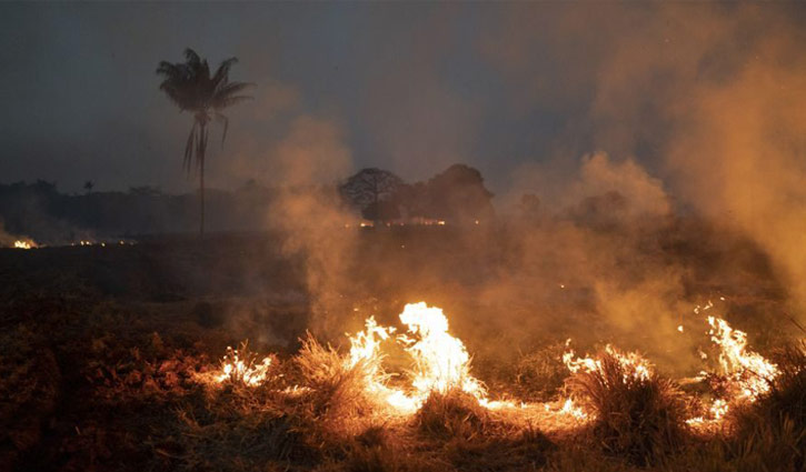 ব্রাজিলে ভূমি পরিষ্কার করতে আগুন ব্যবহারে নিষেধাজ্ঞা