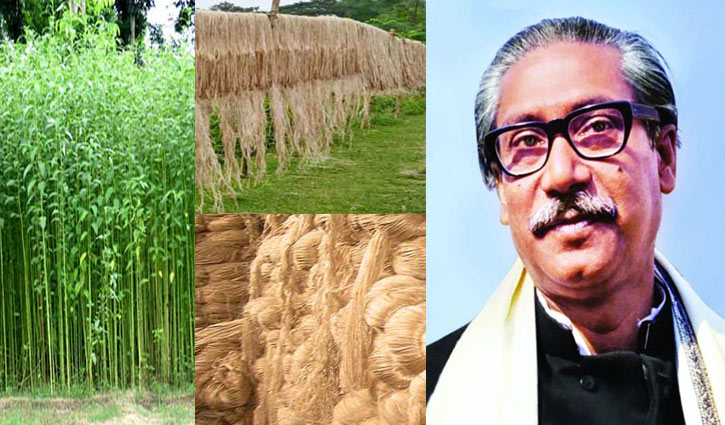 সোনালী আঁশ ও বঙ্গবন্ধু সোনালী আঁশ ও বঙ্গবন্ধু