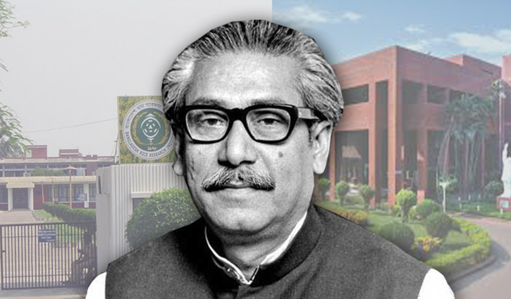 বঙ্গবন্ধুর হাত ধরেই আধুনিক কৃষির যাত্রা বঙ্গবন্ধুর হাত ধরেই আধুনিক কৃষির যাত্রা