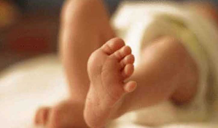 কুকুরের মুখ থেকে নবজাতকের লাশ উদ্ধার