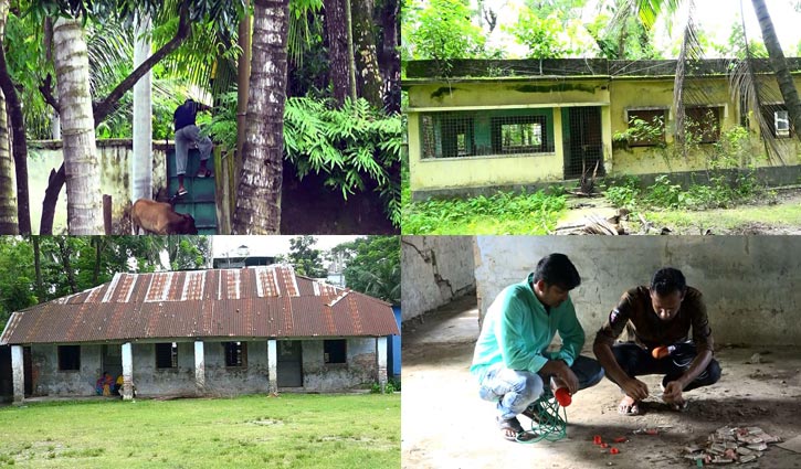কিশোর গ্যাং ও মাদকাসক্ত তৈরির স্কুল! কিশোর গ্যাং ও মাদকাসক্ত তৈরির স্কুল!
