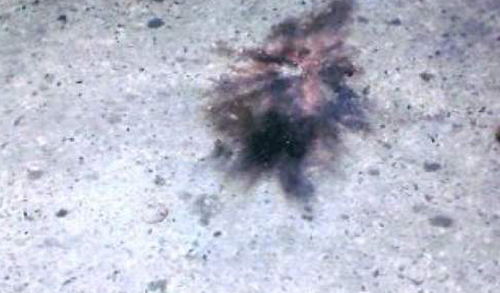 ‘শক্তিশালী বোমাটি হাতে বানানো'