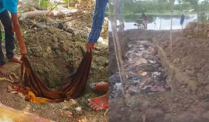 চামড়া এখন আবর্জনা! চামড়া এখন আবর্জনা!