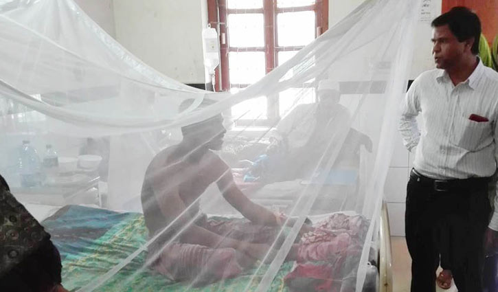21 new dengue patients in Satkhira 21 new dengue patients in Satkhira