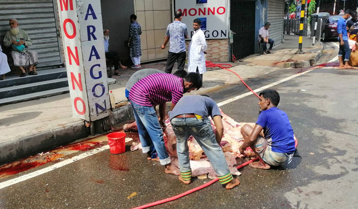  Animal waste removal within 24 hrs: DNCC mayor