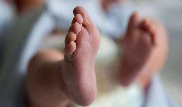ডাস্টবিনে মিলল নবজাতকের লাশ ডাস্টবিনে মিলল নবজাতকের লাশ