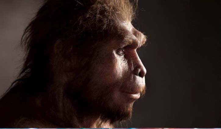 Ancient humans survived longer than we thought