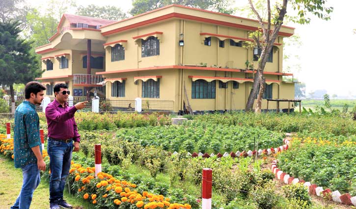 একজন গাছের ফেরিওয়ালা একজন গাছের ফেরিওয়ালা
