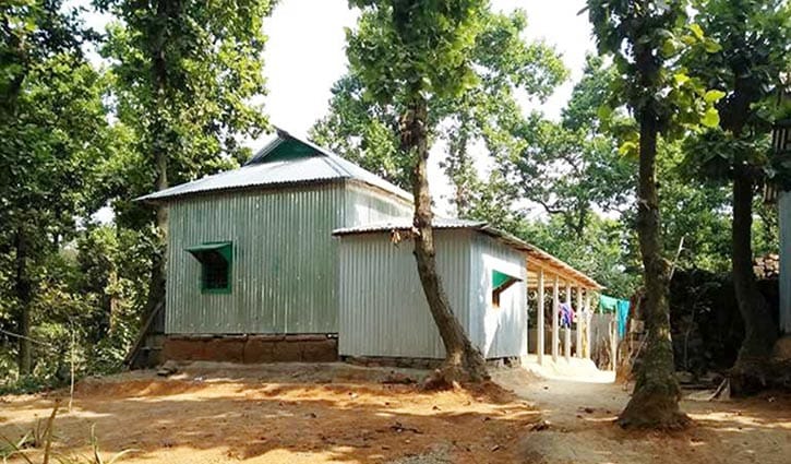 বাড়ির জন্য বন উজাড় বাড়ির জন্য বন উজাড়