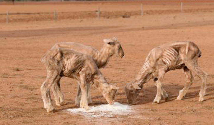 পানি চুরি!