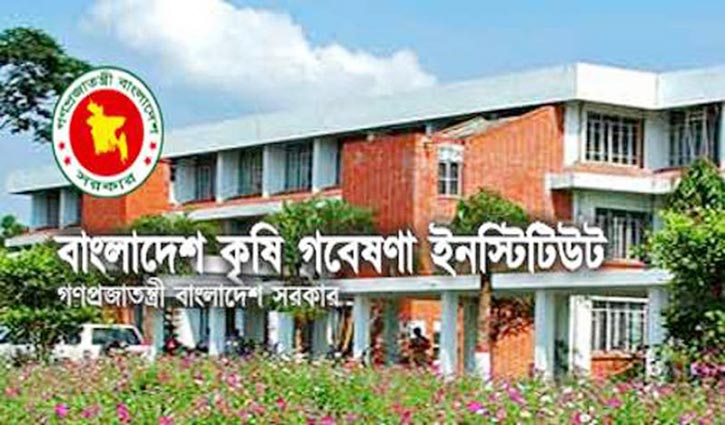 কৃষকের কাছে দ্রুত পৌঁছাতে হবে বারির উদ্ভাবিত প্রযুক্তি কৃষকের কাছে দ্রুত পৌঁছাতে হবে বারির উদ্ভাবিত প্রযুক্তি