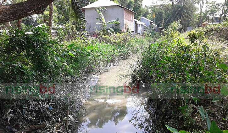 মরছে খাল, মারছে প্রাকৃতিক পরিবেশ