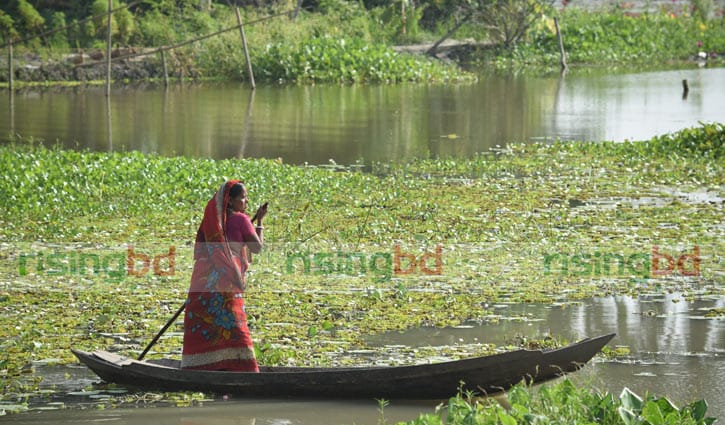ছবিতে গ্রামীণ নারীর জীবন