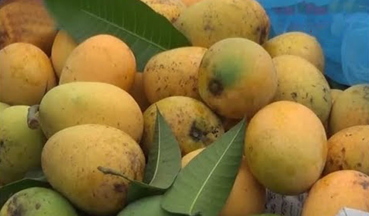 Khirshapat mango to get GI recognition