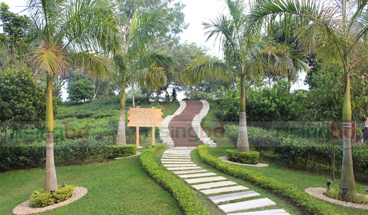 হানিমুন প্যাকেজ ট্যুরের খোঁজখবর