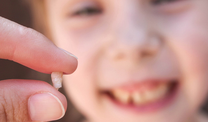 শিশুর দুধ দাঁত সংরক্ষণ করার জীবন রক্ষাকারী কারণ