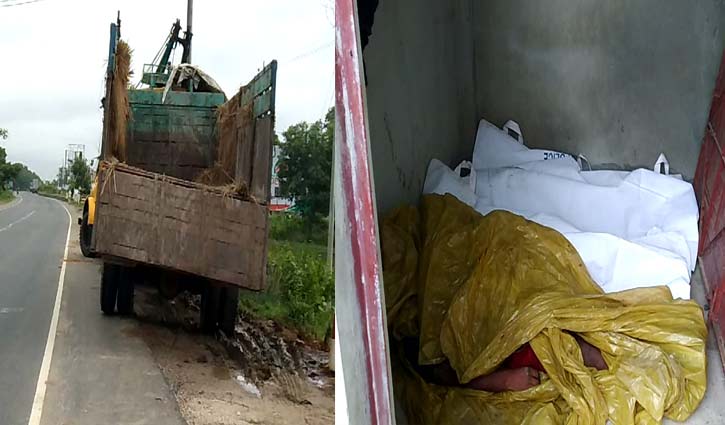 গরুবোঝাই ট্রাক উল্টে নিহত ৩