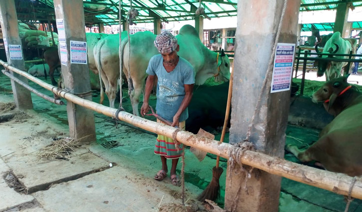 CC cameras at all city cattle markets